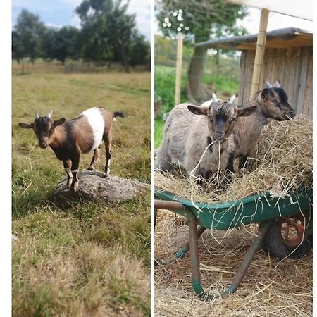 Le Domaine De La Petite Chevre Vila Ploumagoar Exterior foto